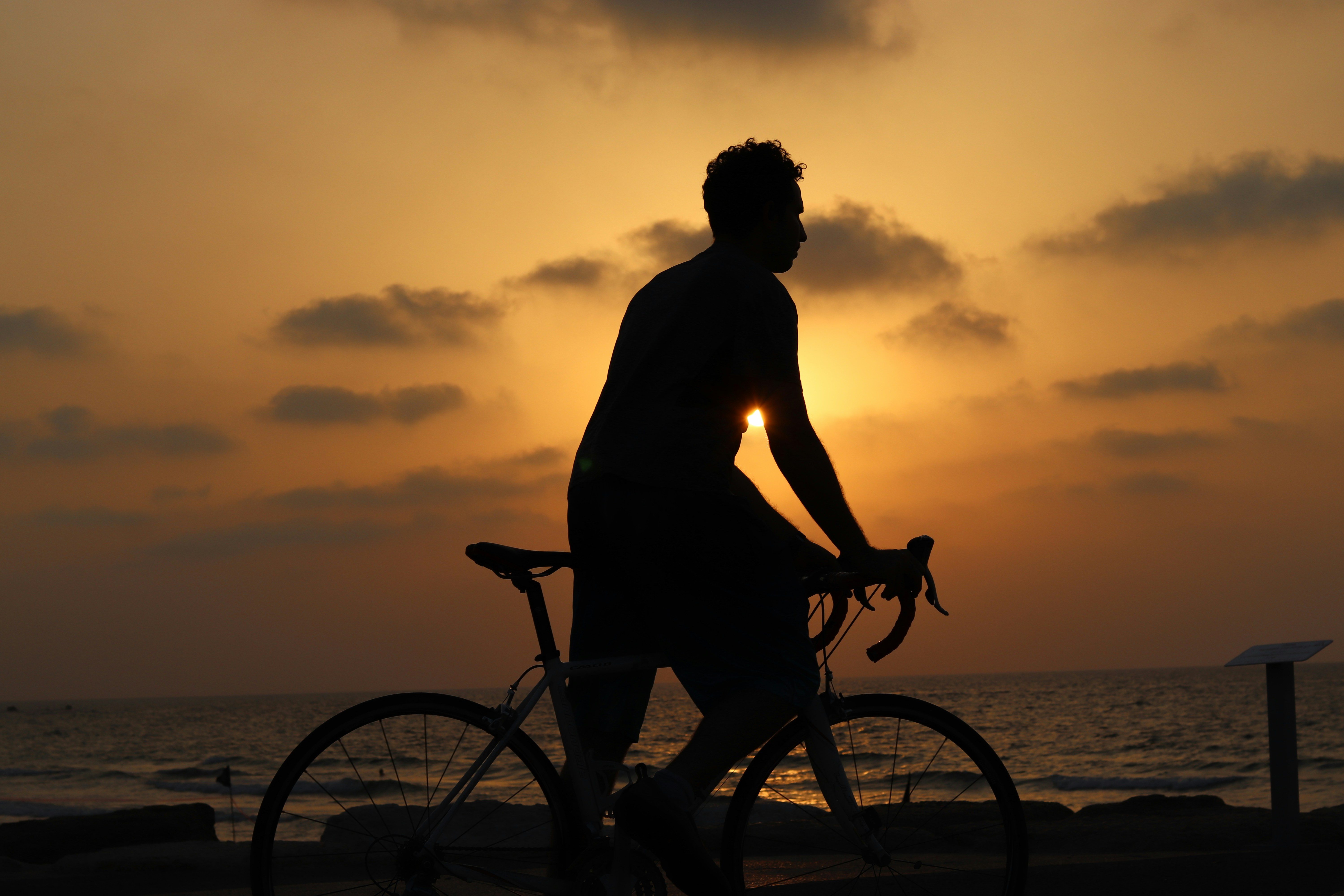 Cyclist riding through a sunlit forest trail